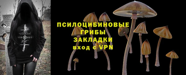 2c-b Бородино