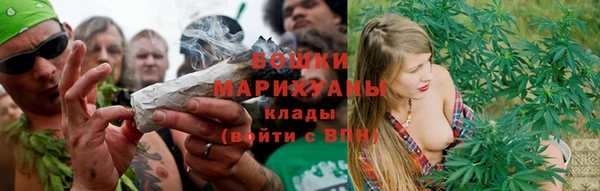 2c-b Бородино