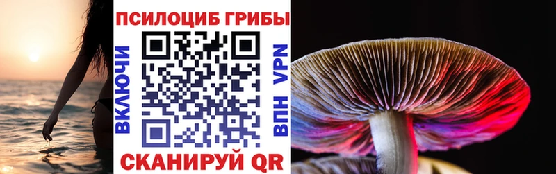 Псилоцибиновые грибы Psilocybe  Купить закладки  Назарово 